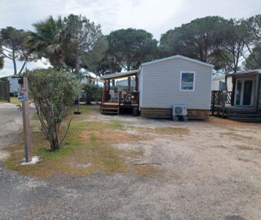 Allée et mobil-home sous pins au mobil-home climatisé 3 chambres sans vis à vis