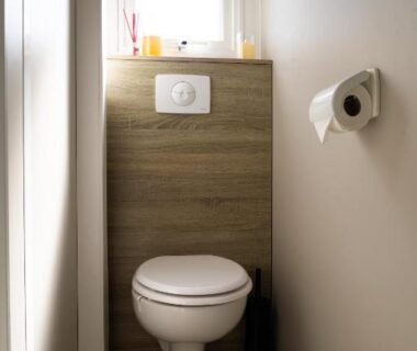 WC compact avec cuvette et fenêtre du mobil-home convivial avec vue sur mer Pleubian