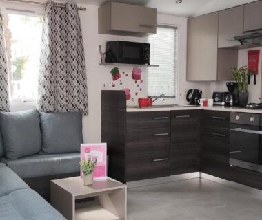 Salon avec kitchenette et canapé dans le Mobil home famille Calazel