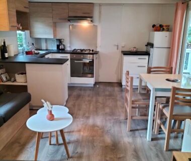 Intérieur séjour avec cuisine et coin repas dans le Mobil-home haut standing