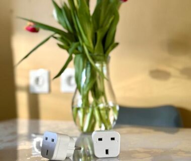 Table intérieure avec vase de tulipes et adaptateurs dans le mobil-home plage à pied du Camping 4 étoiles