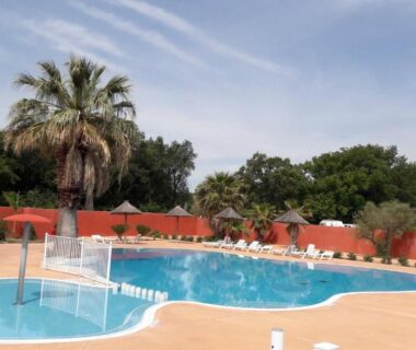 Au bord de la piscine avec transats et palmiers au Mobil home récent clim 3ch Camping3* piscine