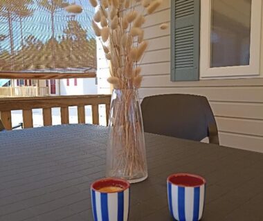 Terrasse couverte avec table vase et tasses du mobil home tout confort 6 personnes