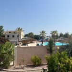 Piscine et parasols entourés de palmiers au camping Mobile- Home AMIRA