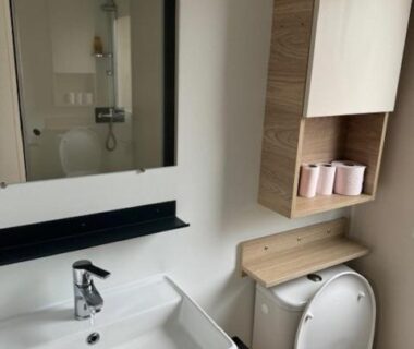 Salle de bain avec douche lavabo et WC du Mobile- Home AMIRA