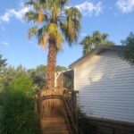 Passerelle en bois et palmier au mobile home du Camping Le Dattier