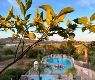 Piscine extérieure entourée de palmiers et collines au Camping Le Dattier
