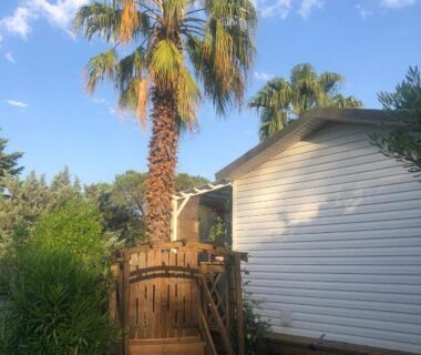 Passerelle en bois et palmier au mobile home du Camping Le Dattier