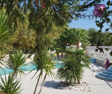 Piscine entourée de palmiers et transats au Mobile Home tout confort Séléna