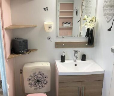 Salle de bains avec lavabo miroir toilettes et décor papillons du Mobile Homes Sous le Soleil