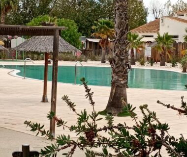 Bord de piscine avec palmiers et parasols au Mobile home