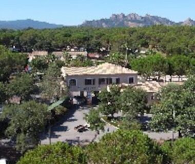 Vue aérienne sur emplacements, pins et bâtisse au Mobile home 5-pers Camping Leï Suves-Côtes d'Azur-including airco