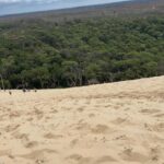 Dune de sable avec forêt en arrière-plan vue depuis le mobile-home 6-8 personnes du camping Les viviers