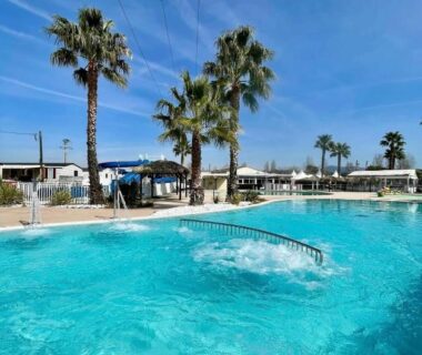 Piscine extérieure bordée de palmiers au mobile home Myosotis camping Siblu