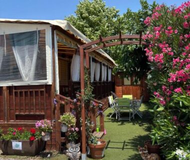 Terrasse en bois avec pergola et jardin fleuri du mobile home Myosotis camping Siblu