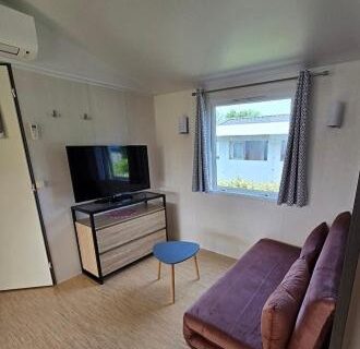Séjour lumineux avec canapé et télévision dans le mobile home à Mimizan