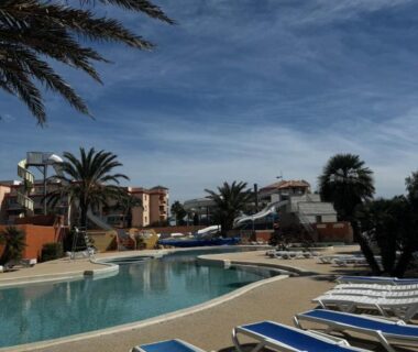 Piscine avec transats et palmiers au Mobile-home le Badwill