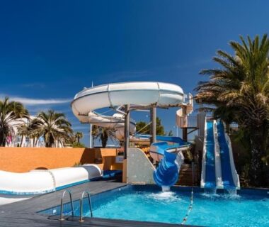 Piscine avec toboggans et palmiers au Mobile-home tout confort le Célestin