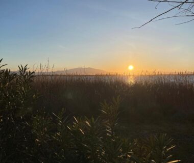 Rivage avec roseaux et soleil bas à l'horizon au Mobile-home tout confort le Célestin