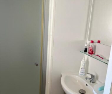 Salle de bains avec lavabo miroir étagère et cabine de douche du Mobilehome