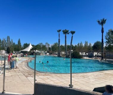 Piscine extérieure entourée de palmiers au camping Mobilehome