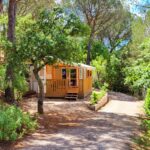 Allée ombragée et mobilhome en bois dans la pinède du Mobilehome Leï Suves Côte d'Azur