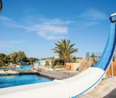 Piscine avec toboggan et palmiers au Mobilhome 2 Chambres 2 SDB