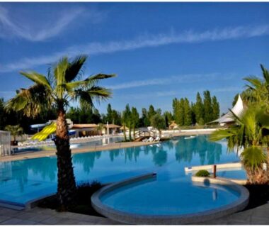 Piscine extérieure bordée de palmiers au Mobilhome 4 CA61