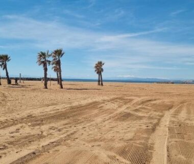 Plage de sable avec palmiers et mer au Mobilhome 4-5 personnes du camping les sables du midi à Valras-Plage