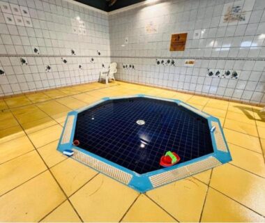 Salle de bains commune avec petit bassin octogonal du Mobilhome Avengers Camping du Ried