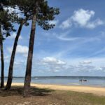Plage et pins au bord du bassin du Mobilhome Claouey