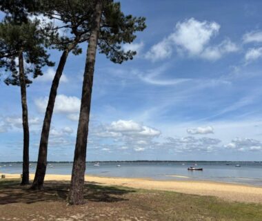 Plage et pins au bord du bassin du Mobilhome Claouey