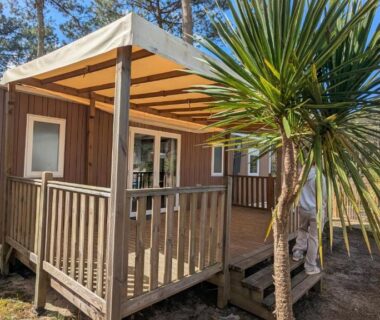 Terrasse en bois avec pergola et palmier du Mobilhome Claouey