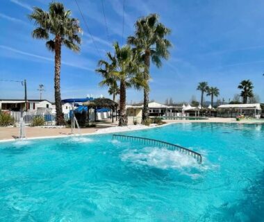Piscine et palmiers au camping Mobilhome Montourey 4 étoiles 3 chambres 2 salles de bains