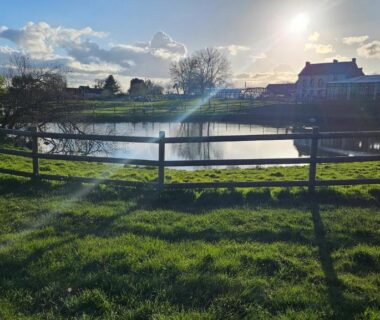 Bord d'étang avec fontaine et prairie au Mobilhome Normandie