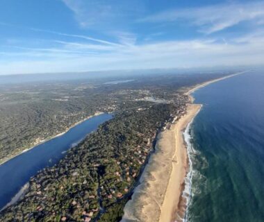 Plage et pinède de la côte landaise à proximité du Mobilhome Sauvage