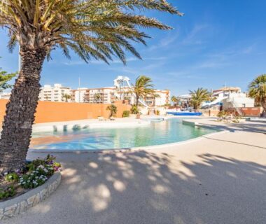 Piscine extérieure bordée de palmiers au Mobilhome Soleia 2023 Mar Estan 4x