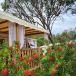 Terrasse couverte avec pergola et arbustes rouges du mobilhome au bord de l'eau