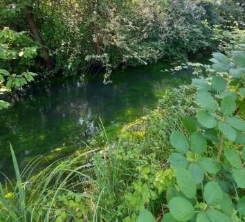 Bord d'eau végétalisé au Mobilhome du Ried Europapark Rulantica gîte