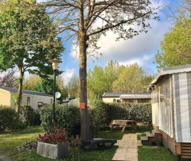 Allée herbeuse et mobilhomes sous arbres au Mobilhome neuf au camping La Réserve