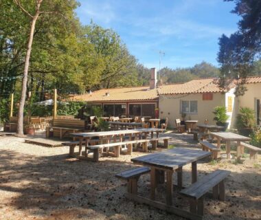 Cour ombragée avec bancs et tables en bois du Mobilhome proche Puy duFou