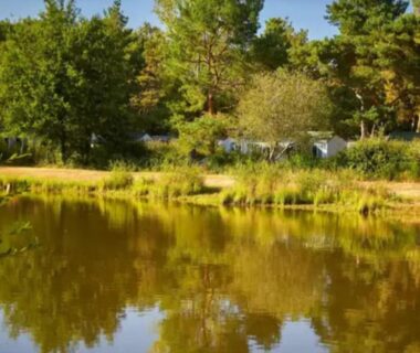 Étang bordé d'arbres au calme près du Mobilhome proche Puy duFou