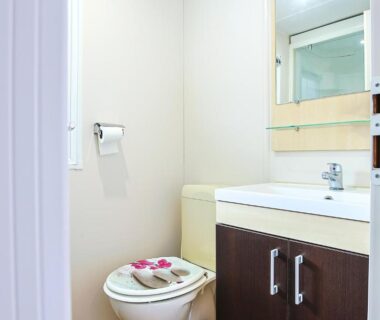 Salle de bain compacte avec WC et lavabo dans le mobilhome tout équipé bois masson