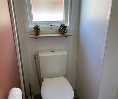 WC compact avec fenêtre et plantes dans le Mobilhome-vue lac-4 étoiles - Lac des Rêves