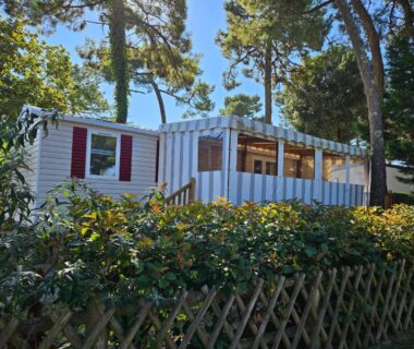 Mobil home sous les pins dans le camping du Naphtase MH01S Le Refuge des Pins