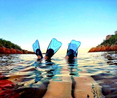 Crique avec palmes flottantes dans l'eau au camping Paradis bleu et île d'or