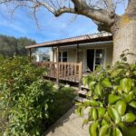 Terrasse en bois entourée de végétation au Parc Résidentiel La Listra - Bungalow