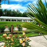 Allée et pelouse avec fleurs et palmier devant le bâtiment au Parc de Nibelle