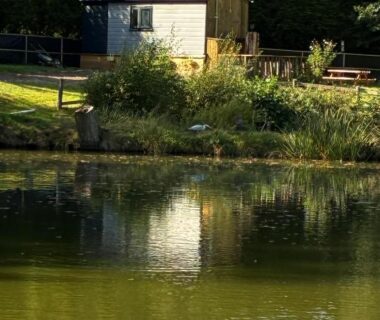 Bord d'étang avec mobil-home et reflet au Pleasant Shepherd Hut