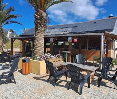 Terrasse extérieure avec chaises et palmiers au camping Plouescat